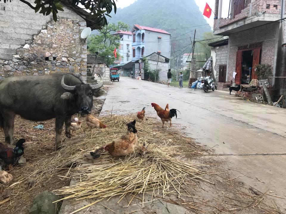 A Sy Ban Gioc Homestay - Lang Da Khuoi Ky Cao Bang Kültér fotó